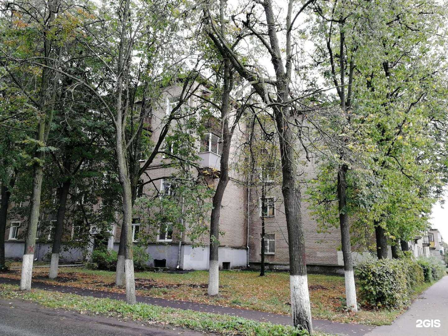 Отзывы на компанию Служба вызова Деда Мороза и Снегурочки в Жуковском c фото