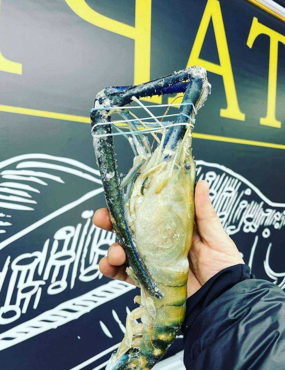 Отзывы на компанию Рыба Камчатки в г. Чебоксары c фото