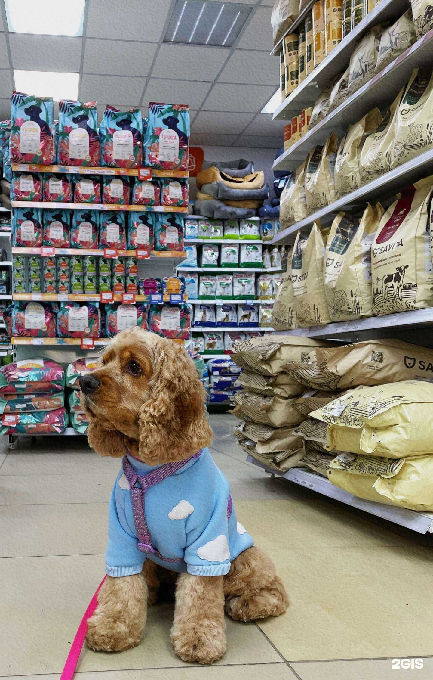 Отзывы на компанию Petshop.ru в Барнауле c фото