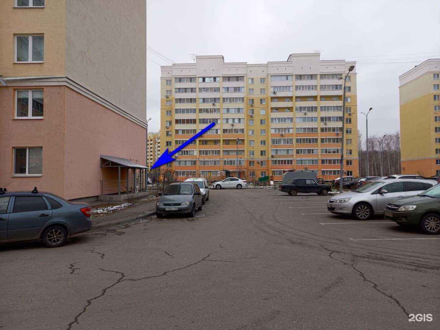 Отзывы на компанию Аквушка в Пензе c фото