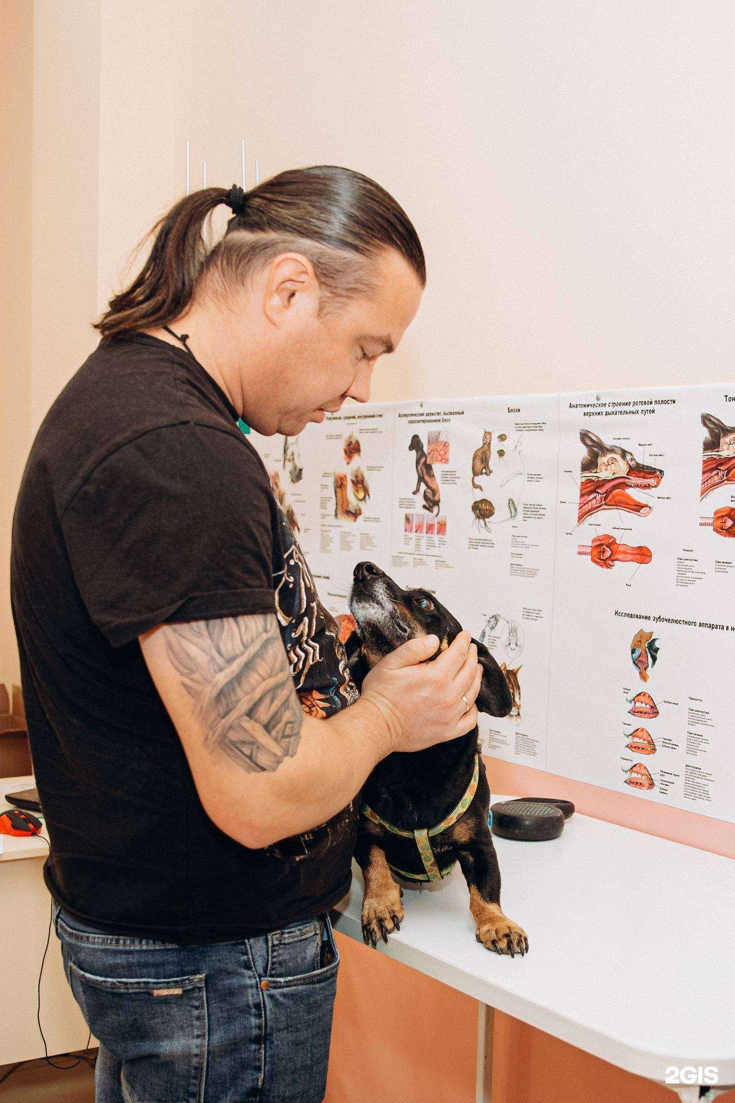 Отзывы на компанию Движение в Ижевске c фото