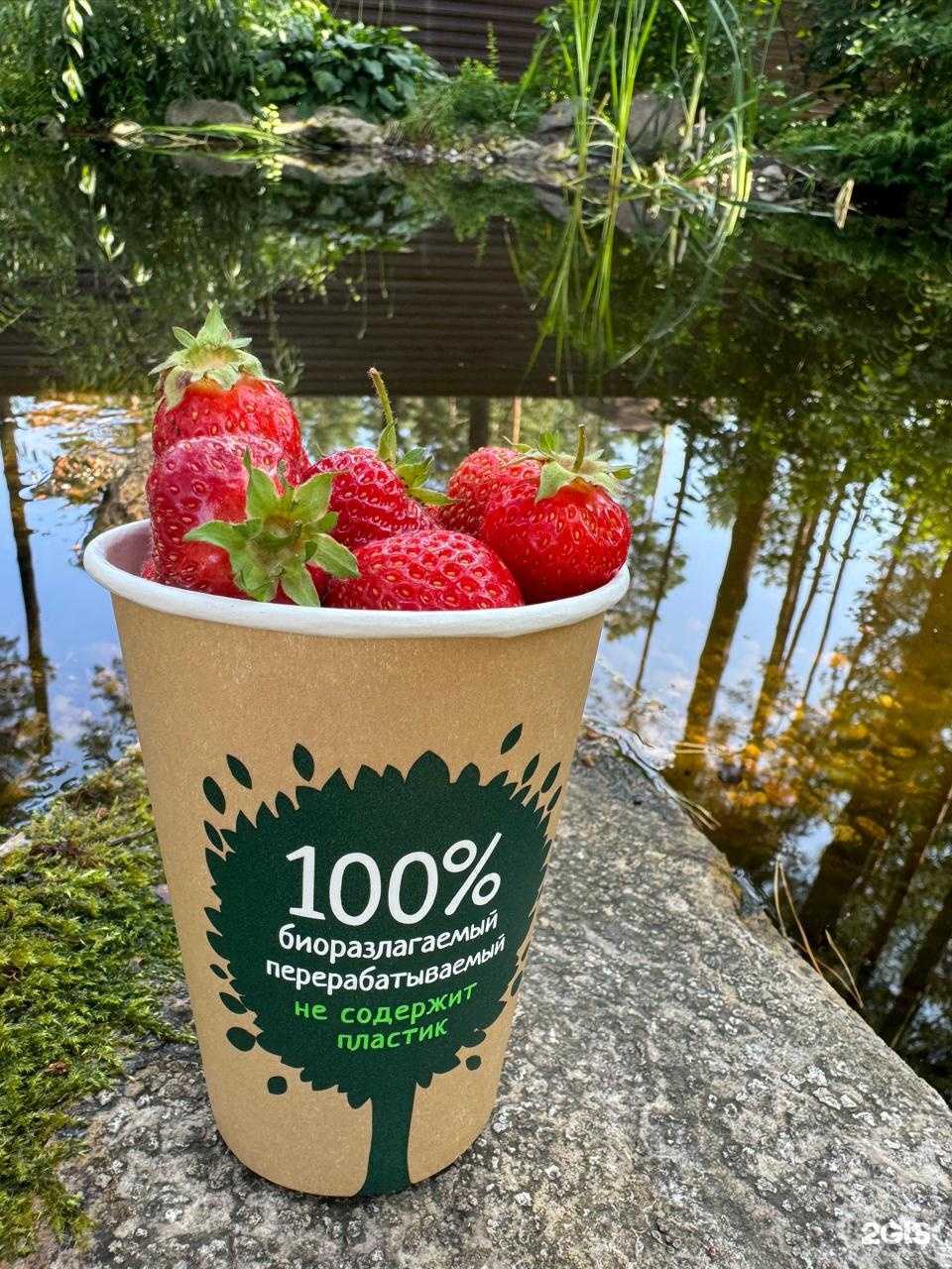 Отзывы на компанию Unikscup в г. Новосибирск c фото