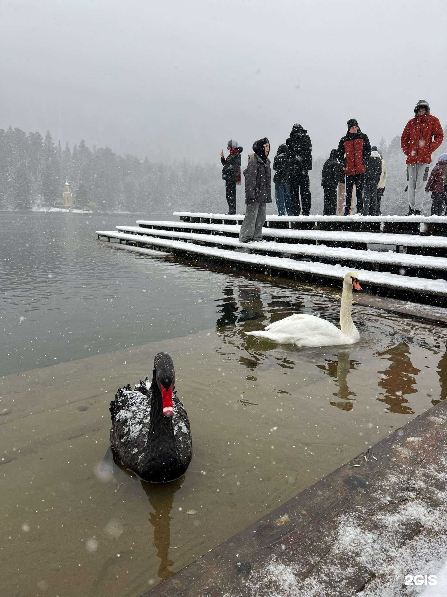 Отзывы на компанию Отечество в Улан-Удэ c фото