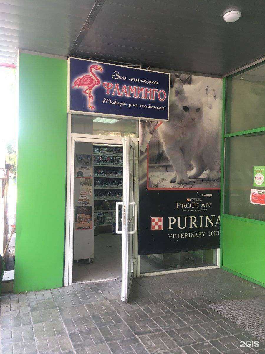 Отзывы на компанию Фламинго в Екатеринбурге c фото