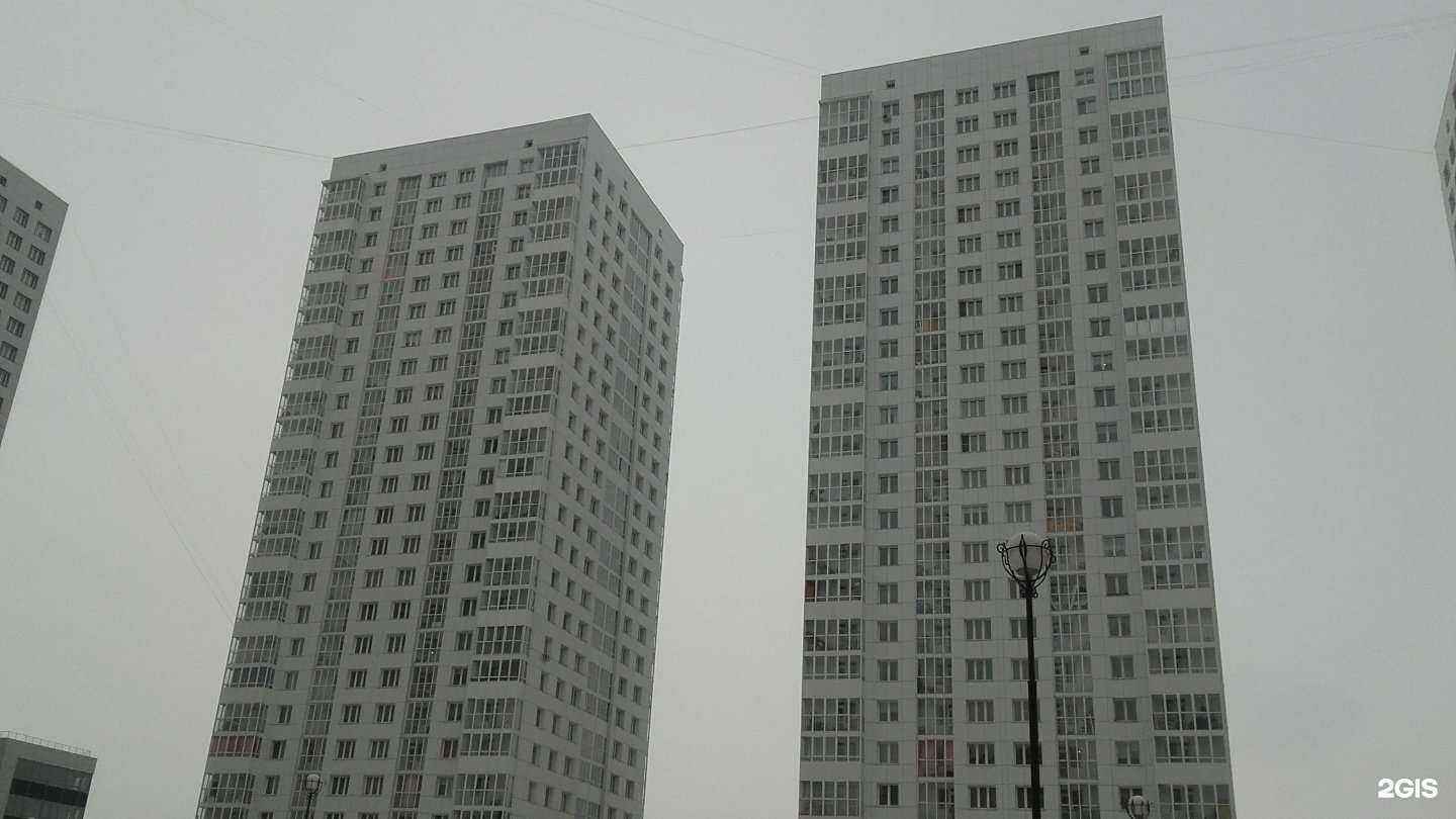 Отзывы на компанию Сибирская сова в Красноярске c фото - фотография 2 из 2