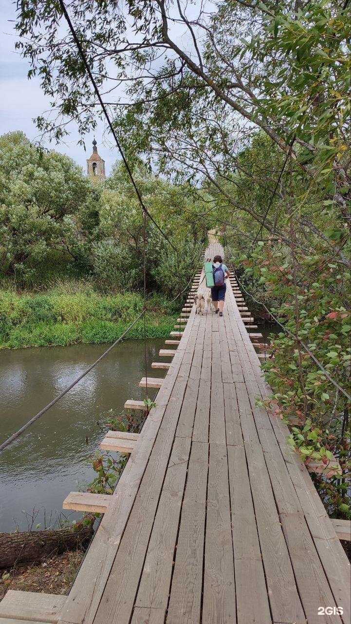 Отзывы на компанию Импульс-dog в Электростали c фото