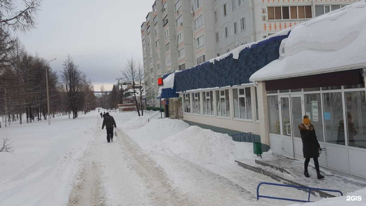 Отзывы на компанию Магазин зоотоваров в Альметьевске c фото - фотография 2 из 2