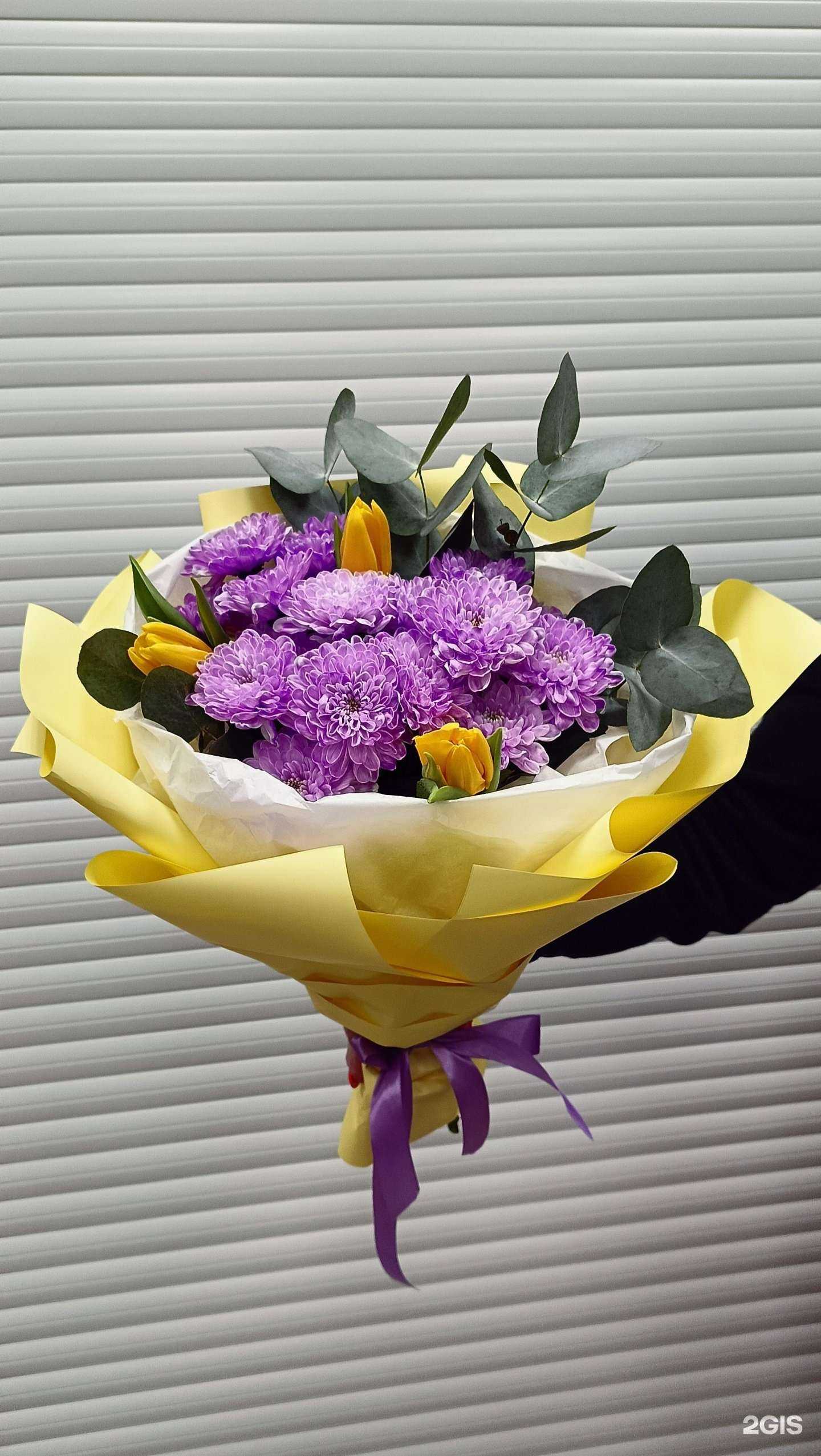 Отзывы на компанию Шустрый куст в Новосибирске c фото