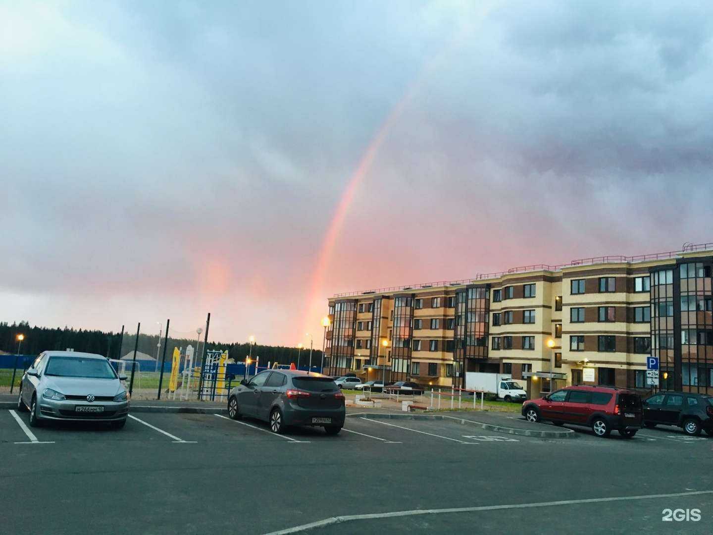 Отзывы на компанию Гладкий койот в Сертолове c фото - фотография 2 из 2