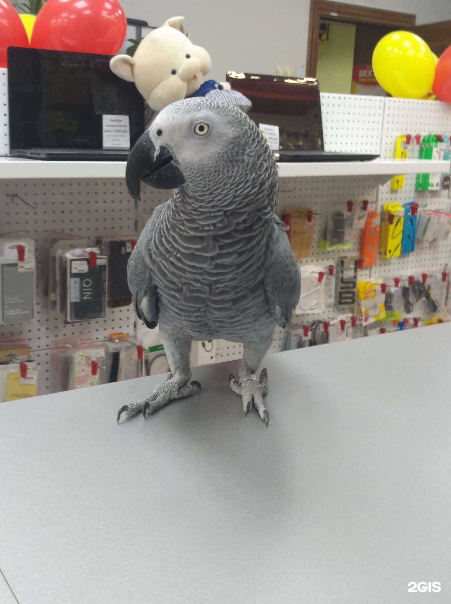 Отзывы на компанию Вектор Электроника в г. Находка c фото