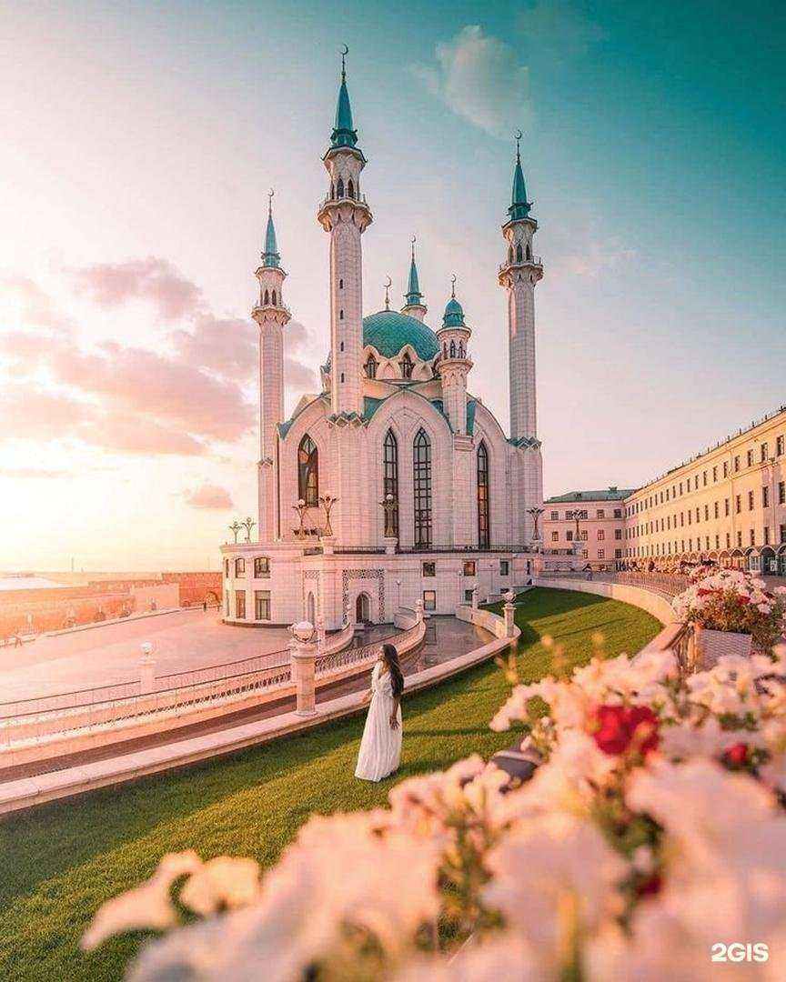 Отзывы на компанию Розовый слон в Краснодаре c фото