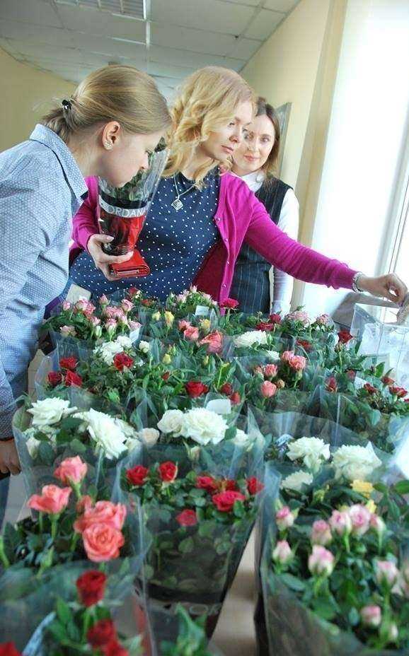 Отзывы на компанию РЕСО-гарантия в Новороссийске c фото