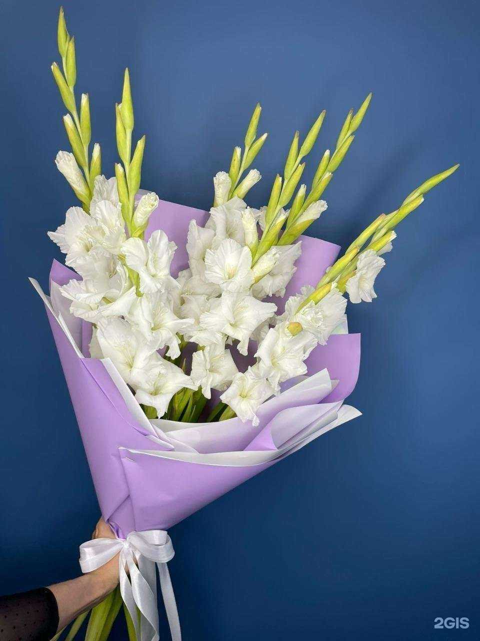 Отзывы на компанию Rose only в г. Кировск c фото