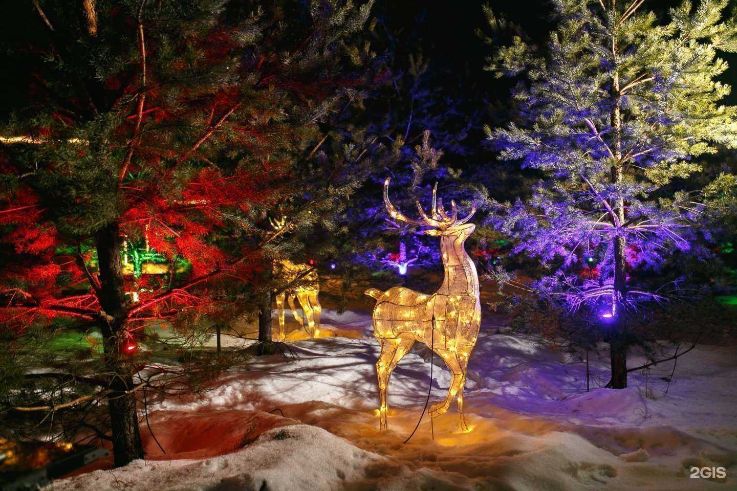 Отзывы на компанию 12 Сосен в Нефтекамске c фото