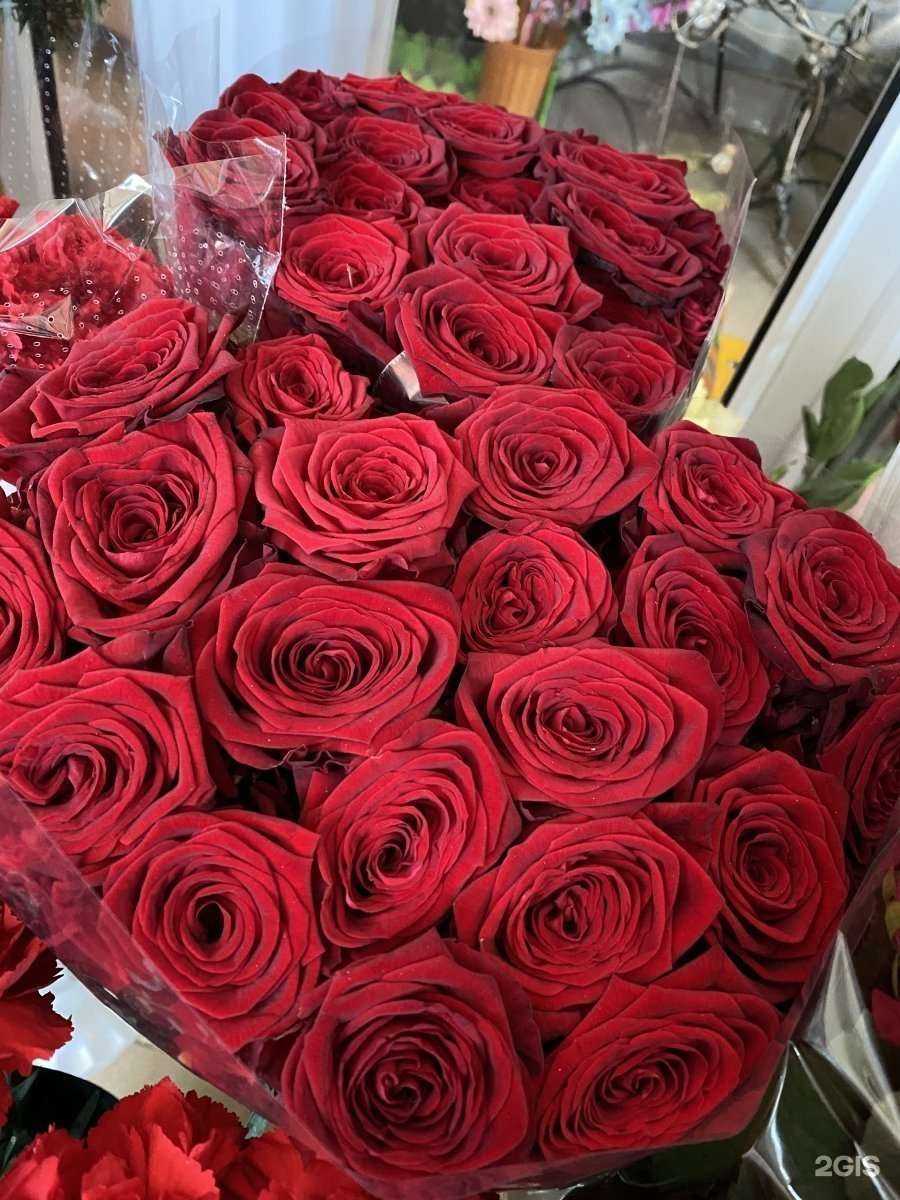 Отзывы на компанию Don Pion в г. Черкесск c фото