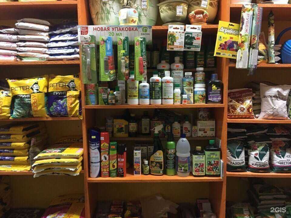 Отзывы на компанию Луковка в г. Ярославль c фото