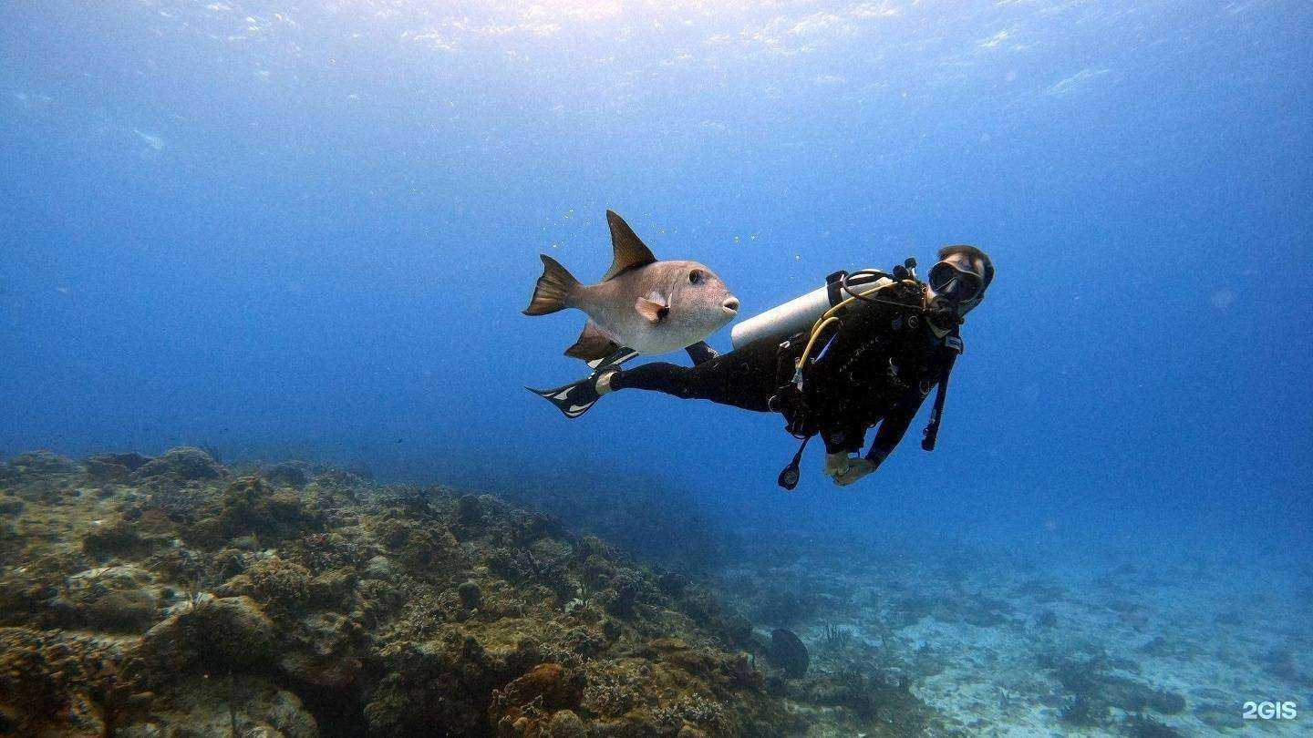 Отзывы на компанию Аквастиль в Челябинске c фото