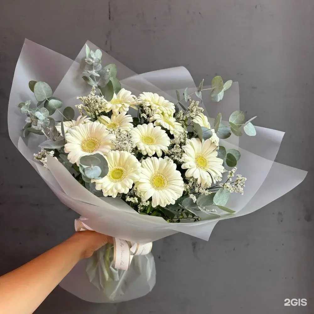 Отзывы на компанию Жасмин в Чебоксарах c фото