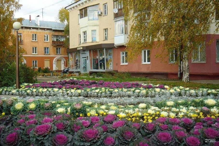 Отзывы на компанию Котопес в Кемерове c фото - фотография 2 из 2