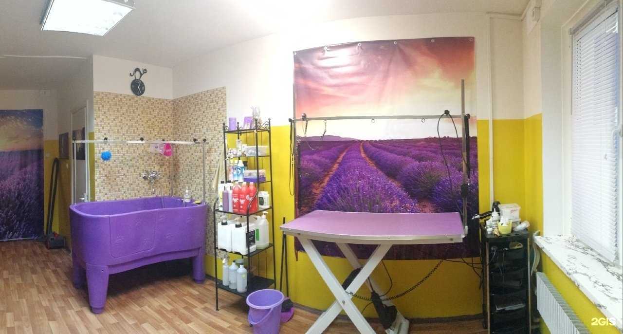 Отзывы на компанию Зоострижка 46 в г. Курск c фото