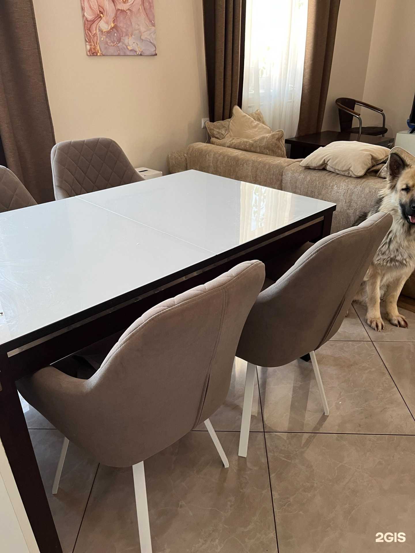 Отзывы на компанию Зебра в г. Нижний Новгород c фото