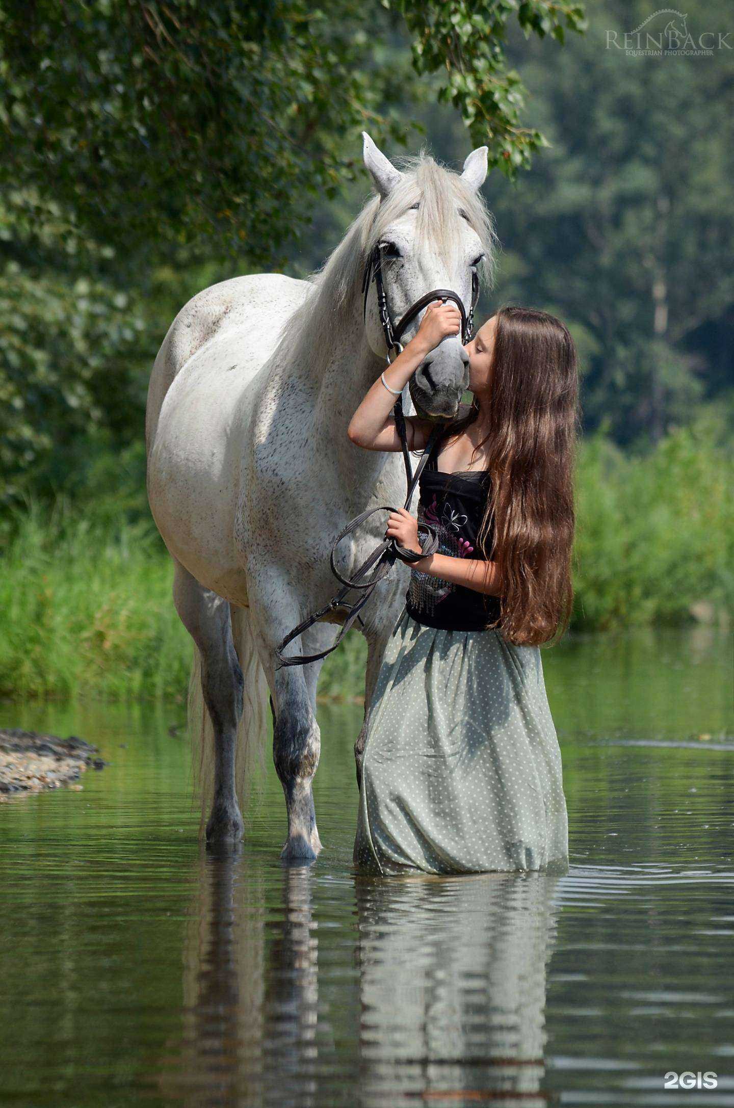 Отзывы на компанию Золотая подкова в Новокузнецке c фото