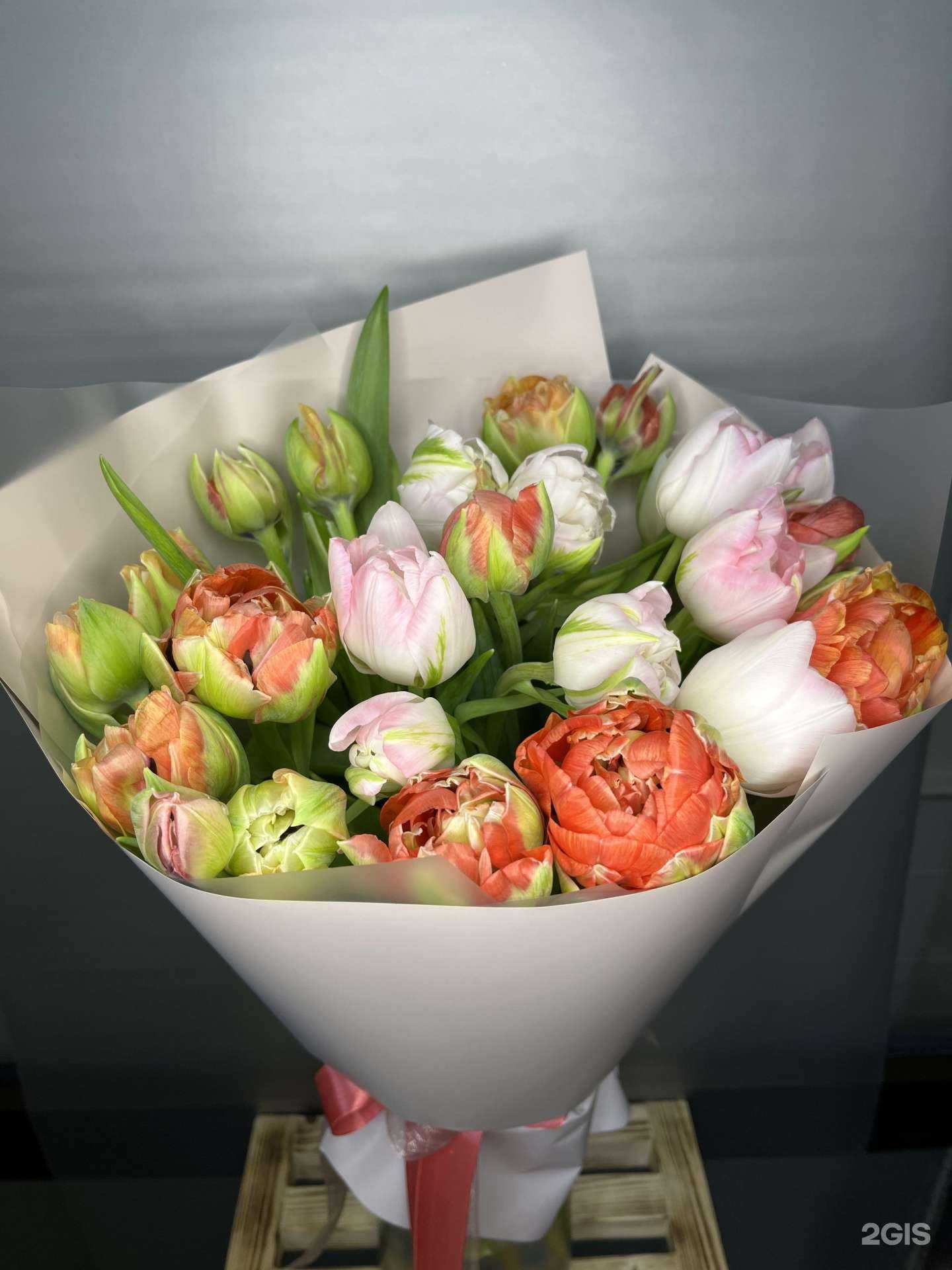 Отзывы на компанию Мелисса в Сочи c фото