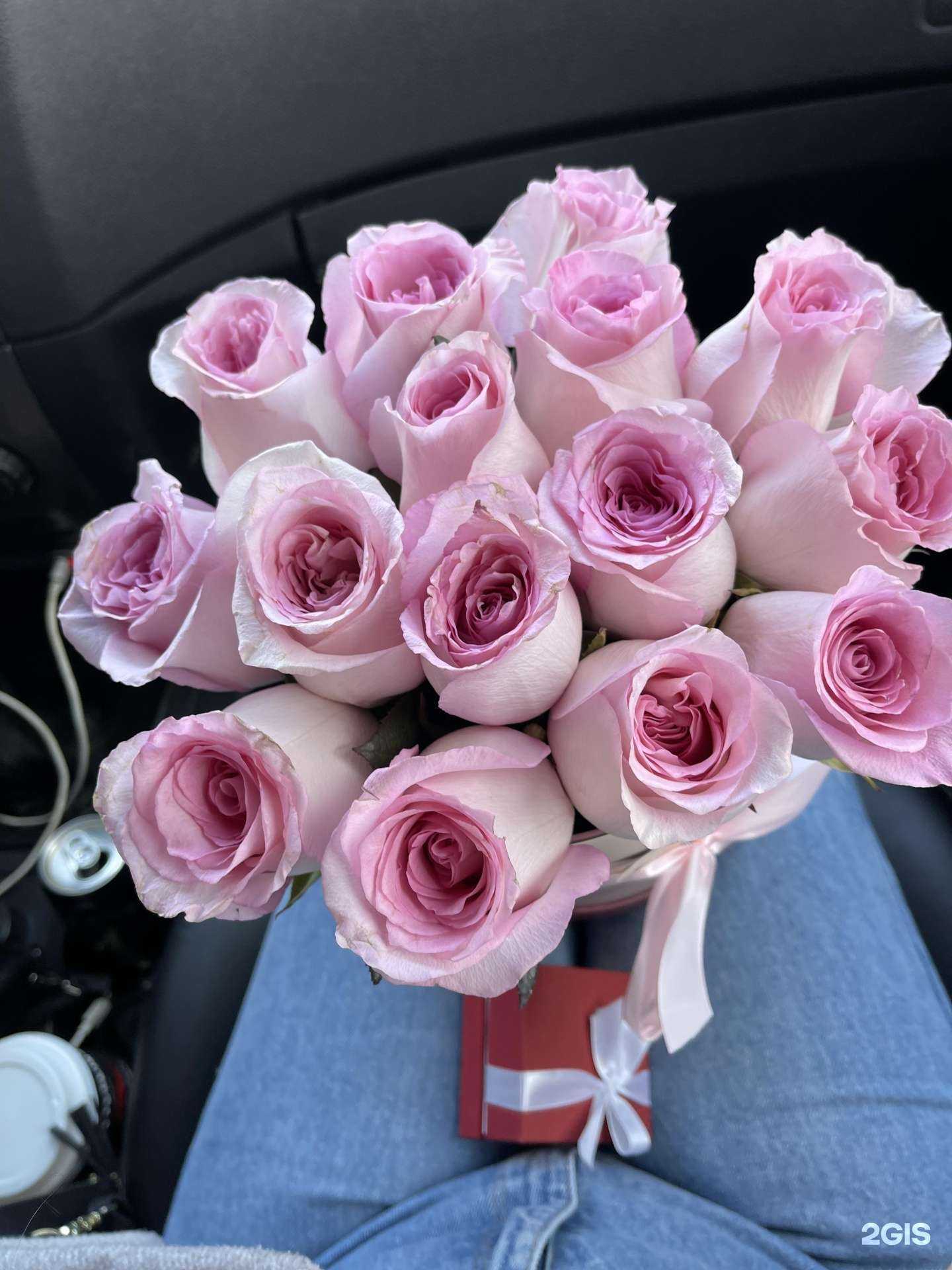 Отзывы на компанию 7цветик в Йошкар-Оле c фото