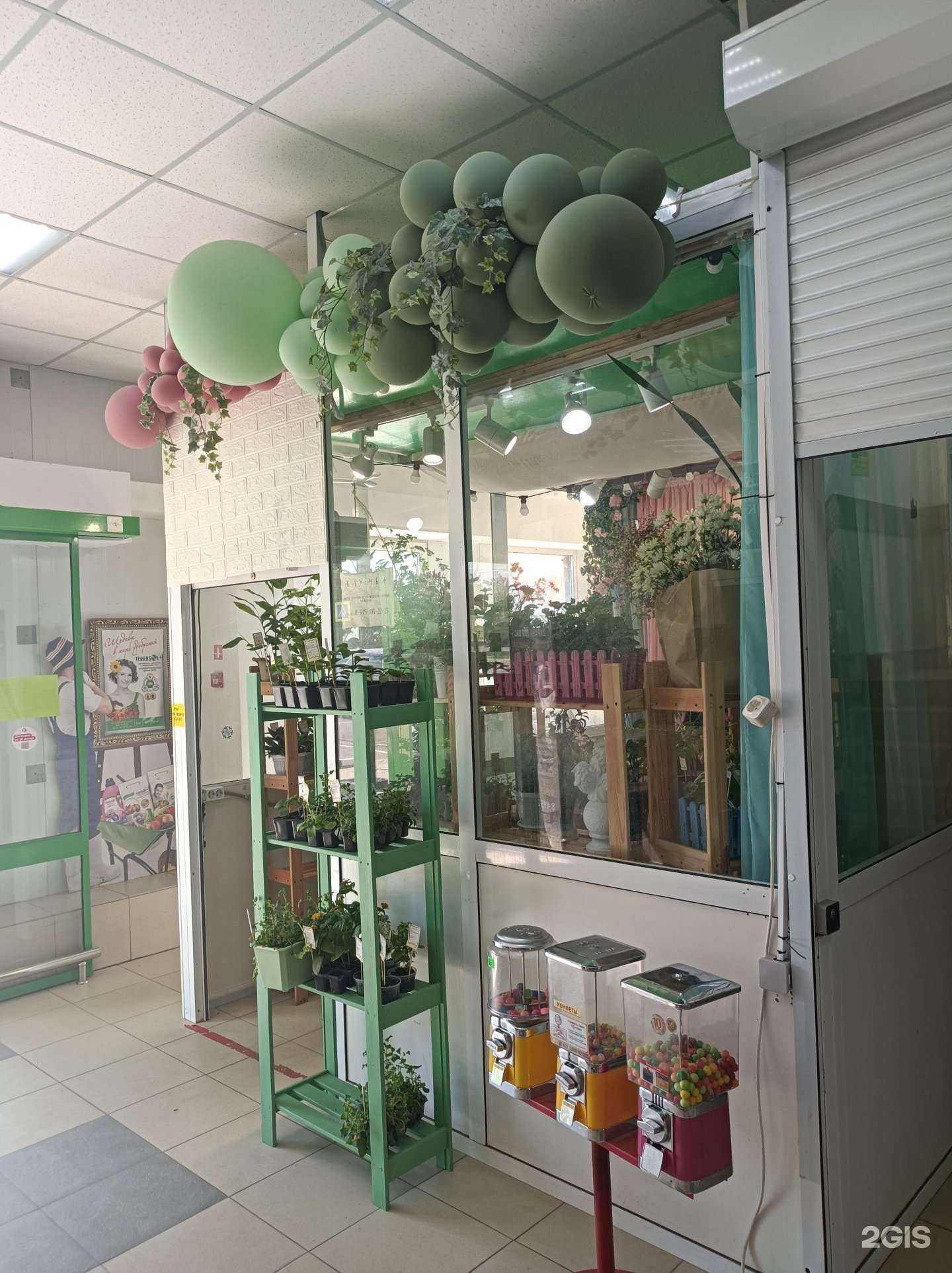 Отзывы на компанию Блумба в Наро-Фоминске c фото