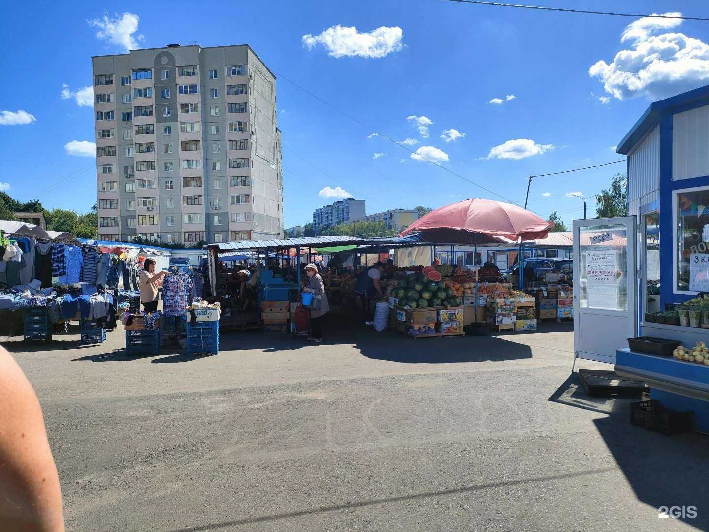 Отзывы на компанию Рыбацкая лавка в Курске c фото - фотография 2 из 2