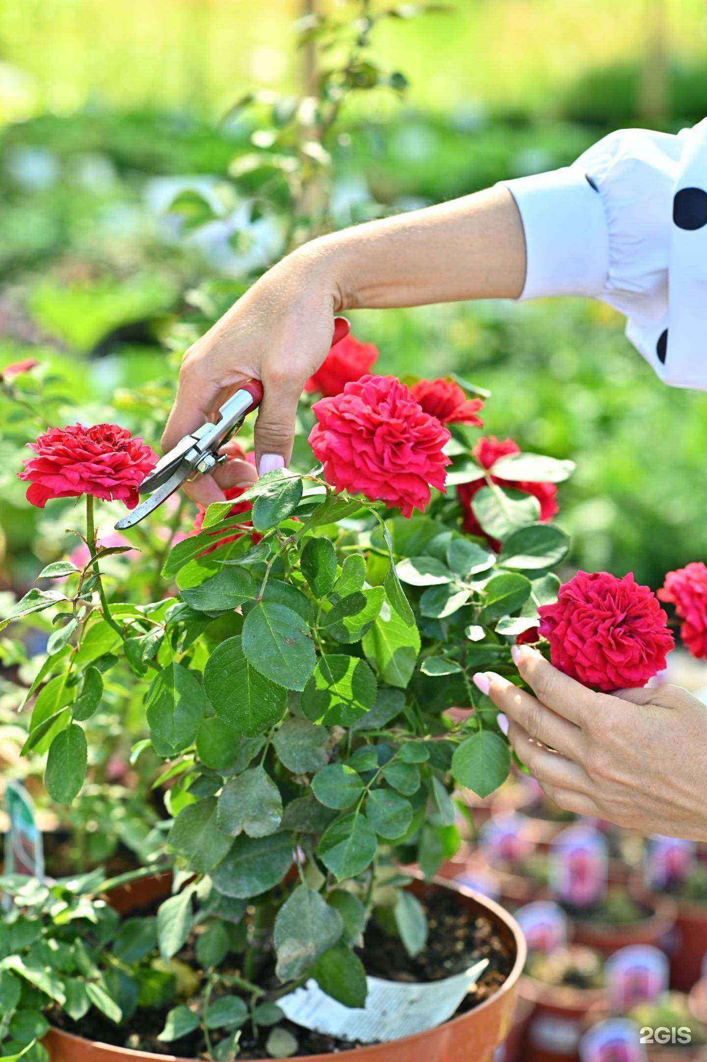 Отзывы на компанию Версаль в г. Уфа c фото