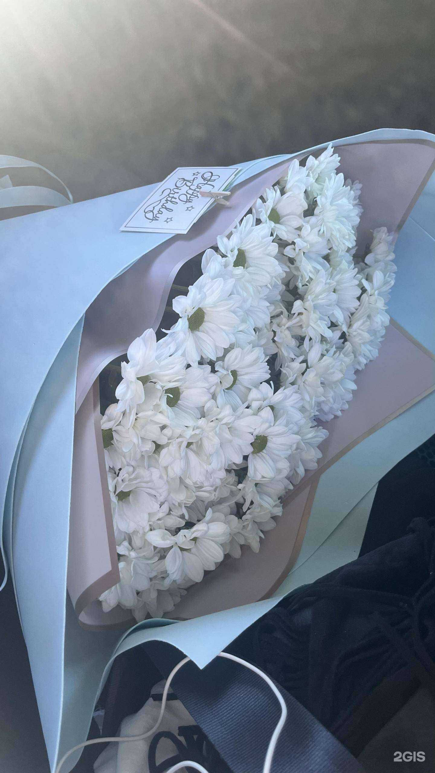 Отзывы на компанию Loraflora в Калининграде c фото