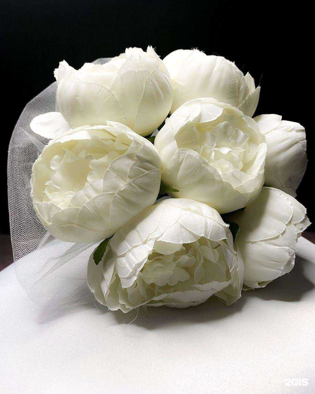 Отзывы на компанию Anastasia в г. Йошкар-Ола c фото