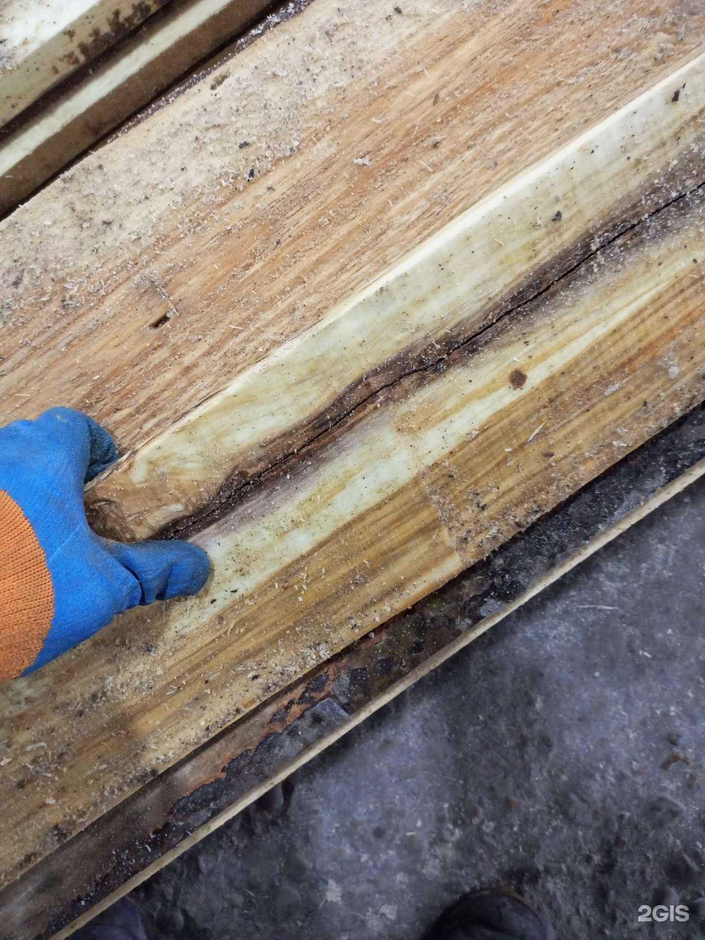 Отзывы на компанию Лесоперерабатывающая компания в г. Стерлитамак c фото