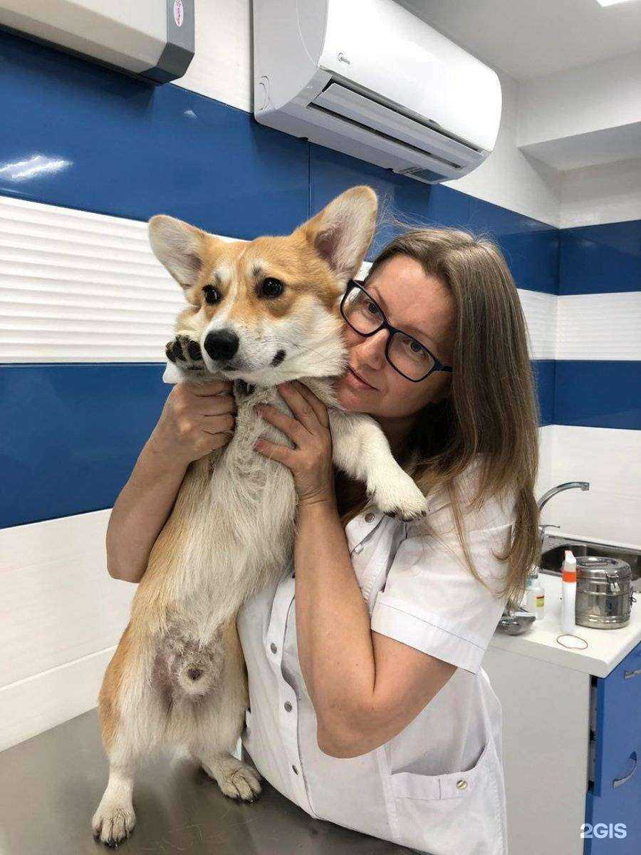 Отзывы на компанию Друг в г. Владивосток c фото