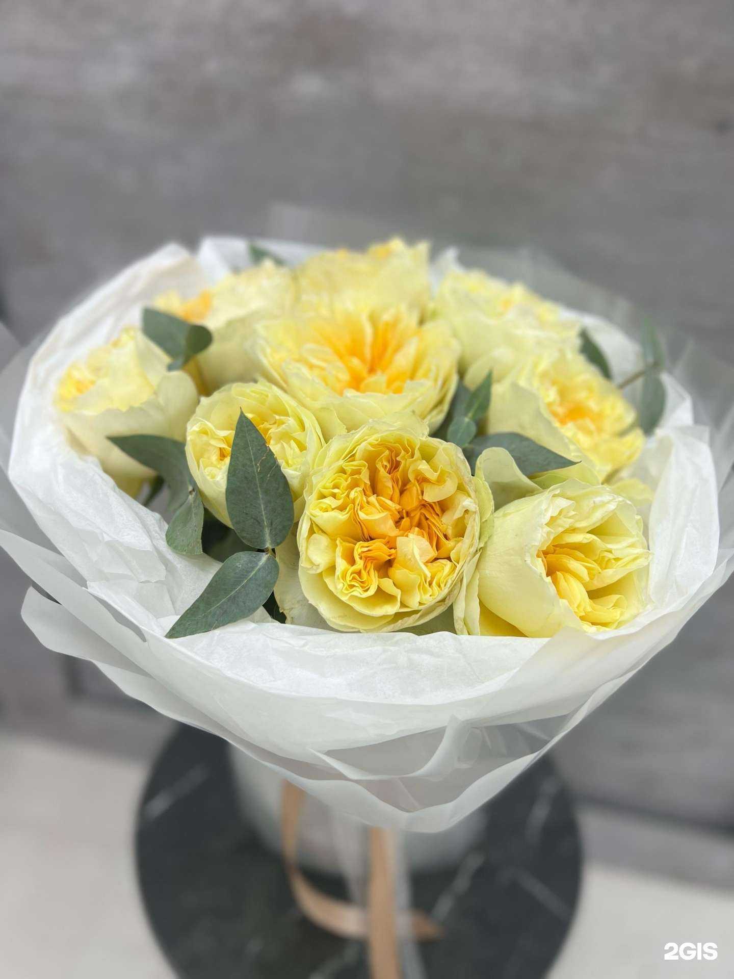 Отзывы на компанию Фиалочная в Ставрополе c фото