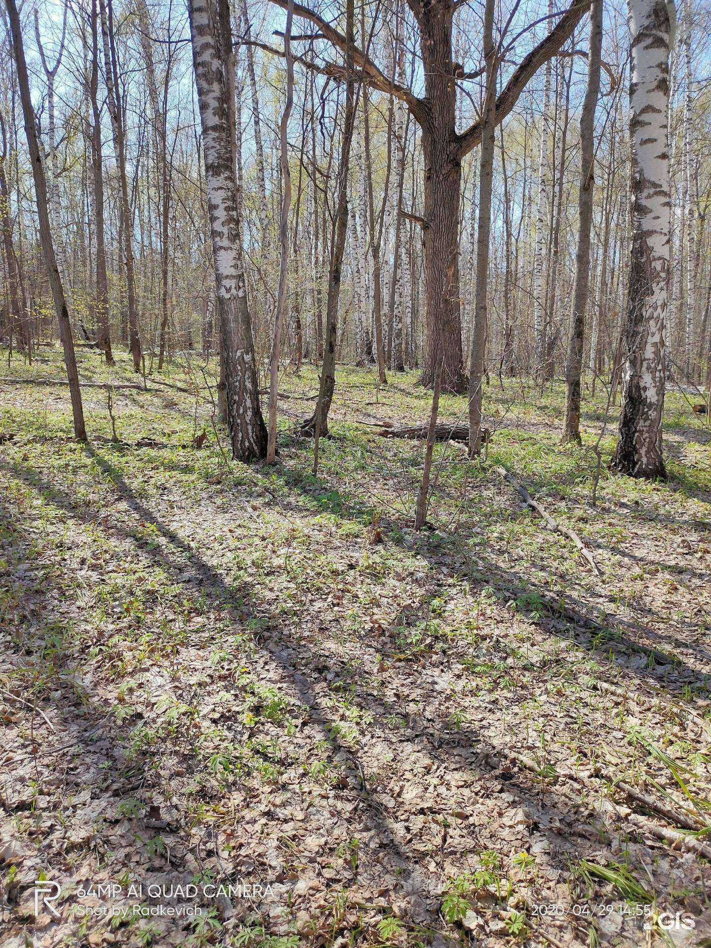 Отзывы на компанию Служба заказа грузового транспорта в Самаре c фото - фотография 2 из 2