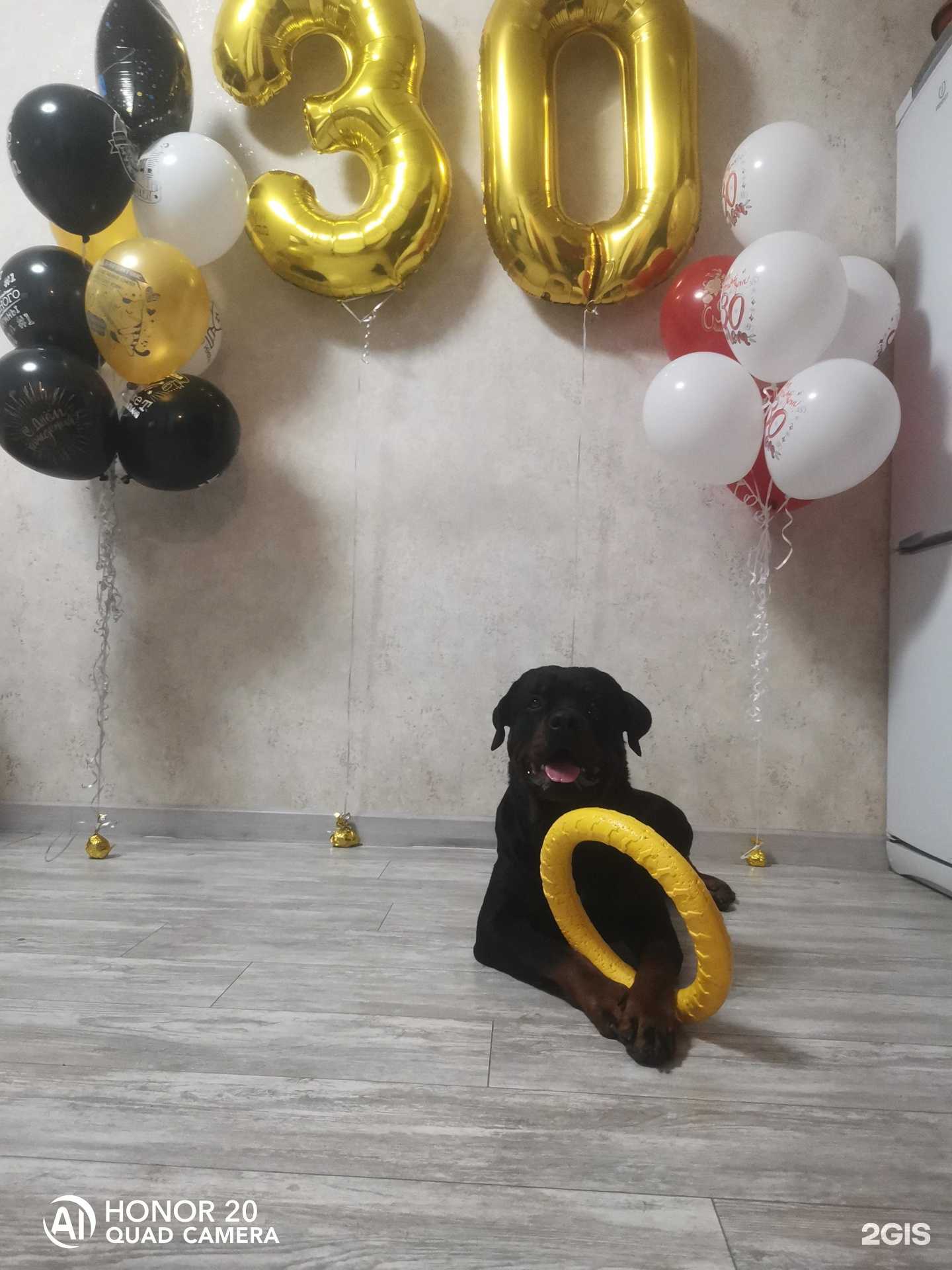 Отзывы на компанию Магазин товаров для праздника в г. Курск c фото