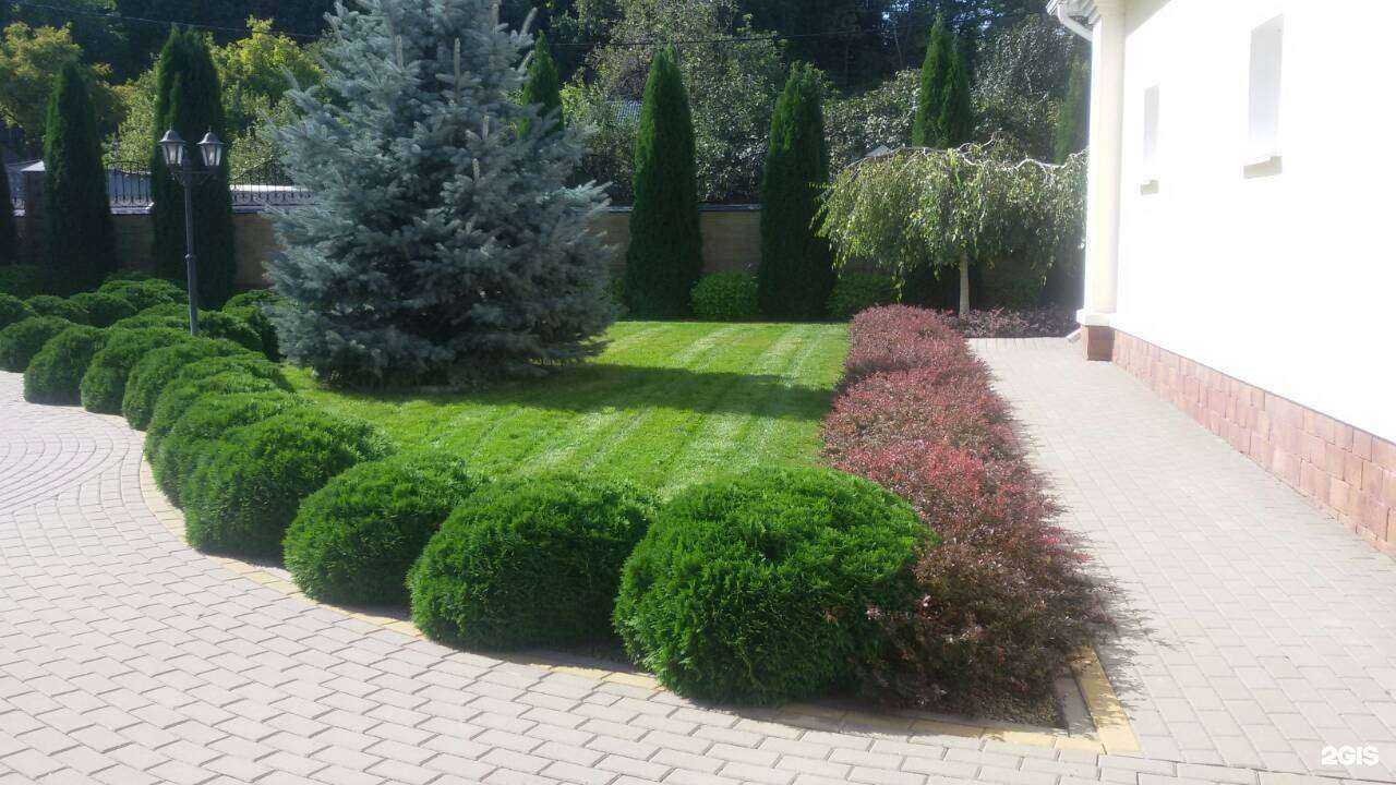 Отзывы на компанию Садовый центр в г. Белгород c фото