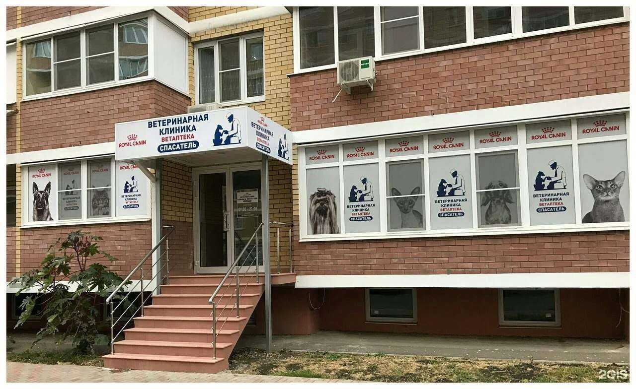 Отзывы на компанию Спасатель в Краснодаре c фото