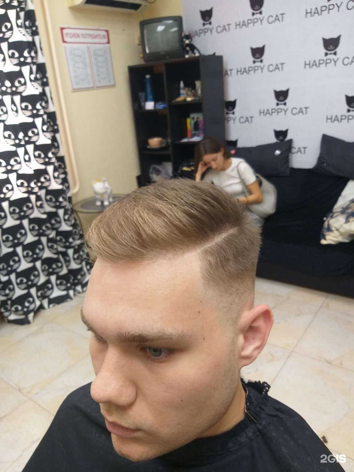 Отзывы на компанию Happy cat в Краснодаре c фото