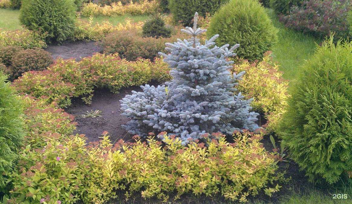 Отзывы на компанию Нимфея в Красноярске c фото