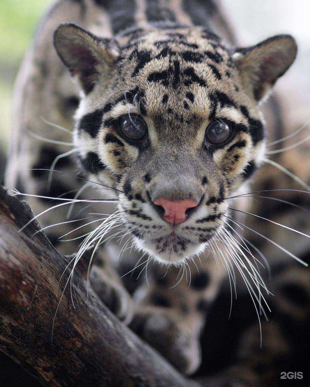 Отзывы на компанию Дата Ист в г. Новосибирск c фото