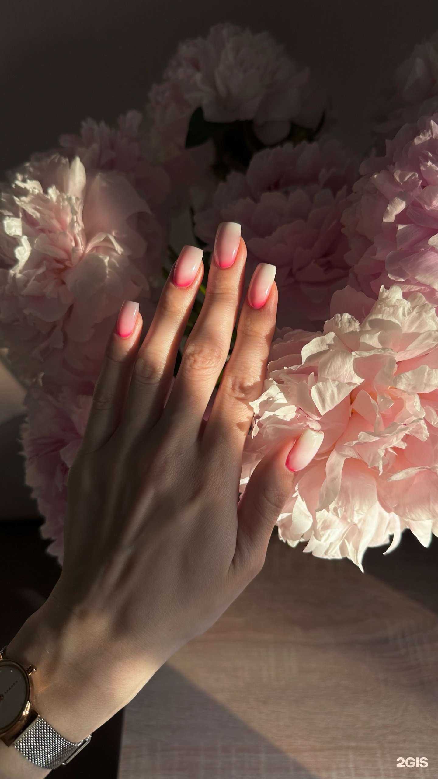 Отзывы на компанию Lapki koshki в Екатеринбурге c фото