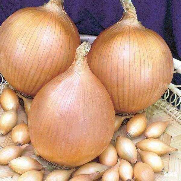 Отзывы на компанию Агрофирма Усадьба в Перми c фото