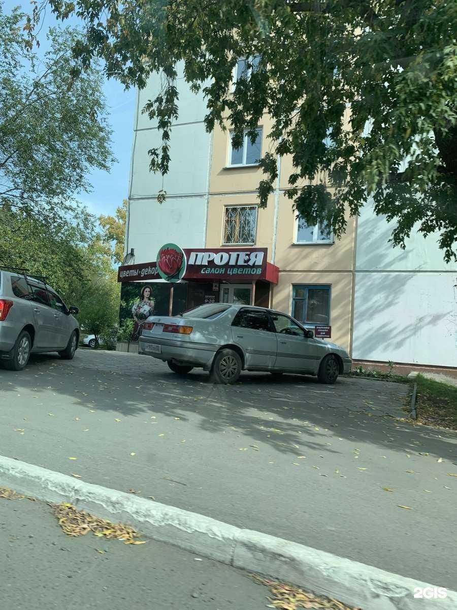 Отзывы на компанию Протея в Бийске c фото - фотография 2 из 2