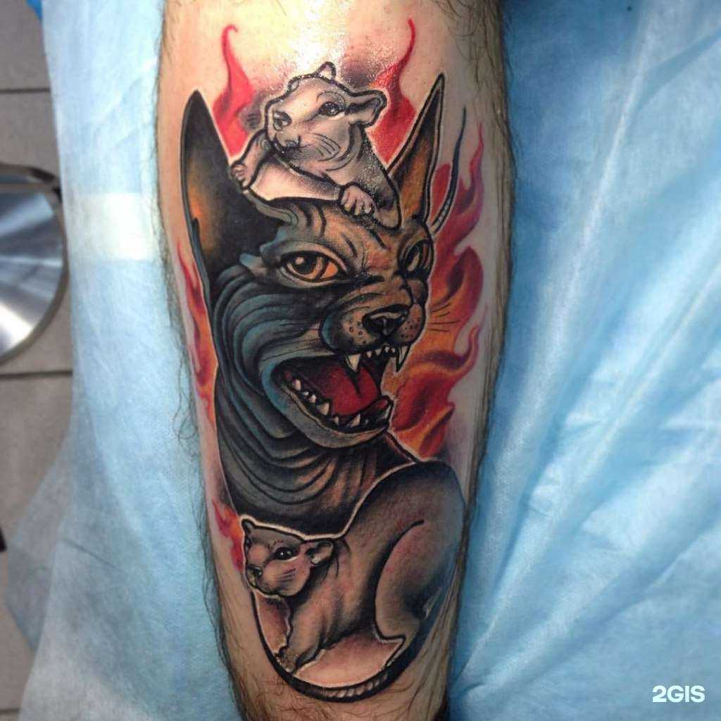 Отзывы на компанию ColorSkin в Химках c фото