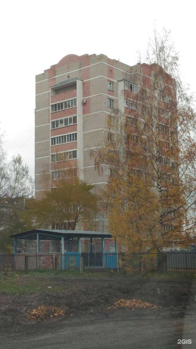 Отзывы на компанию Archi Braid’s в Вологде c фото