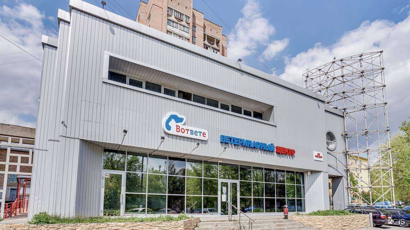 Отзывы на компанию ВотВЕТе в Ростове-на-Дону c фото