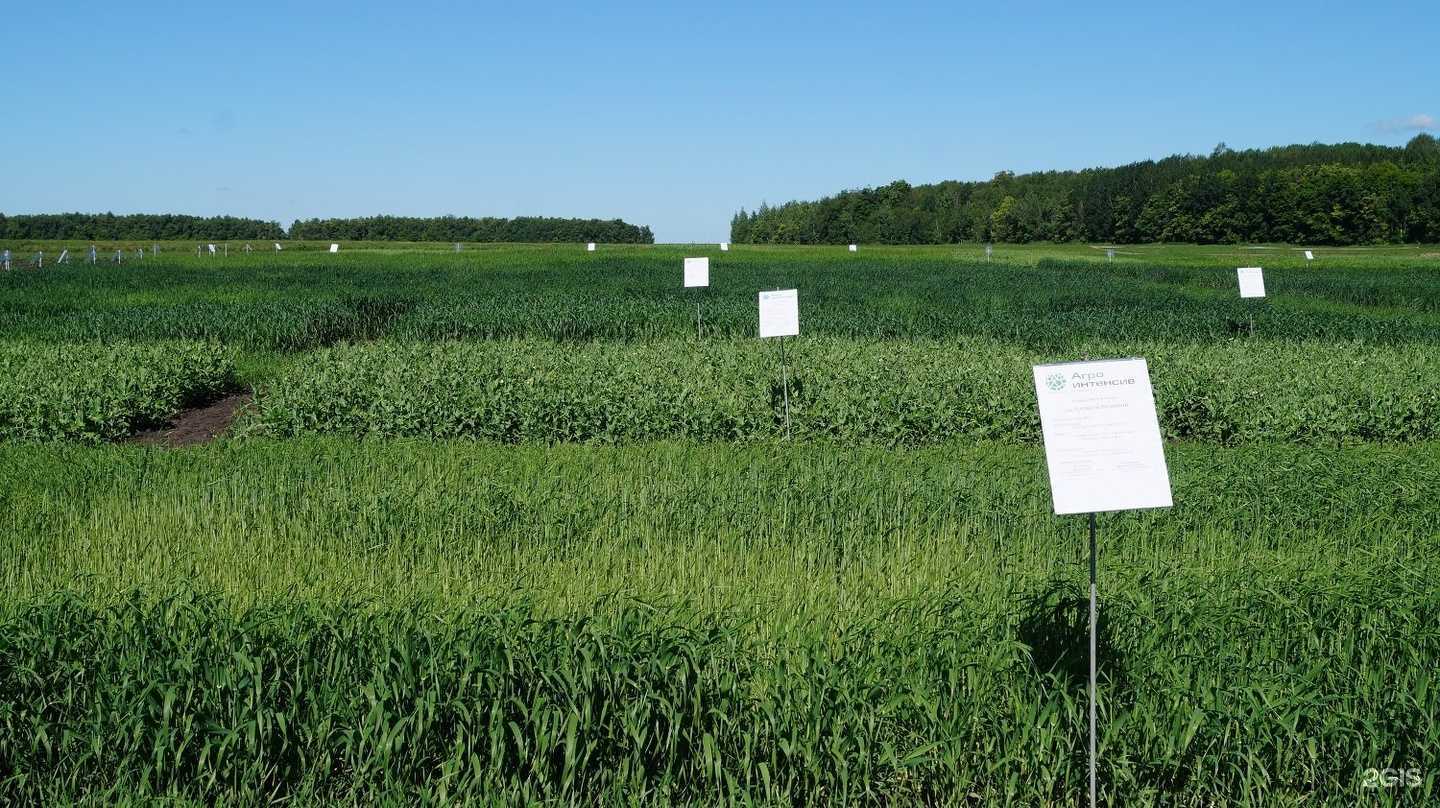 Отзывы на компанию Агро-Инновации в Чебоксарах c фото